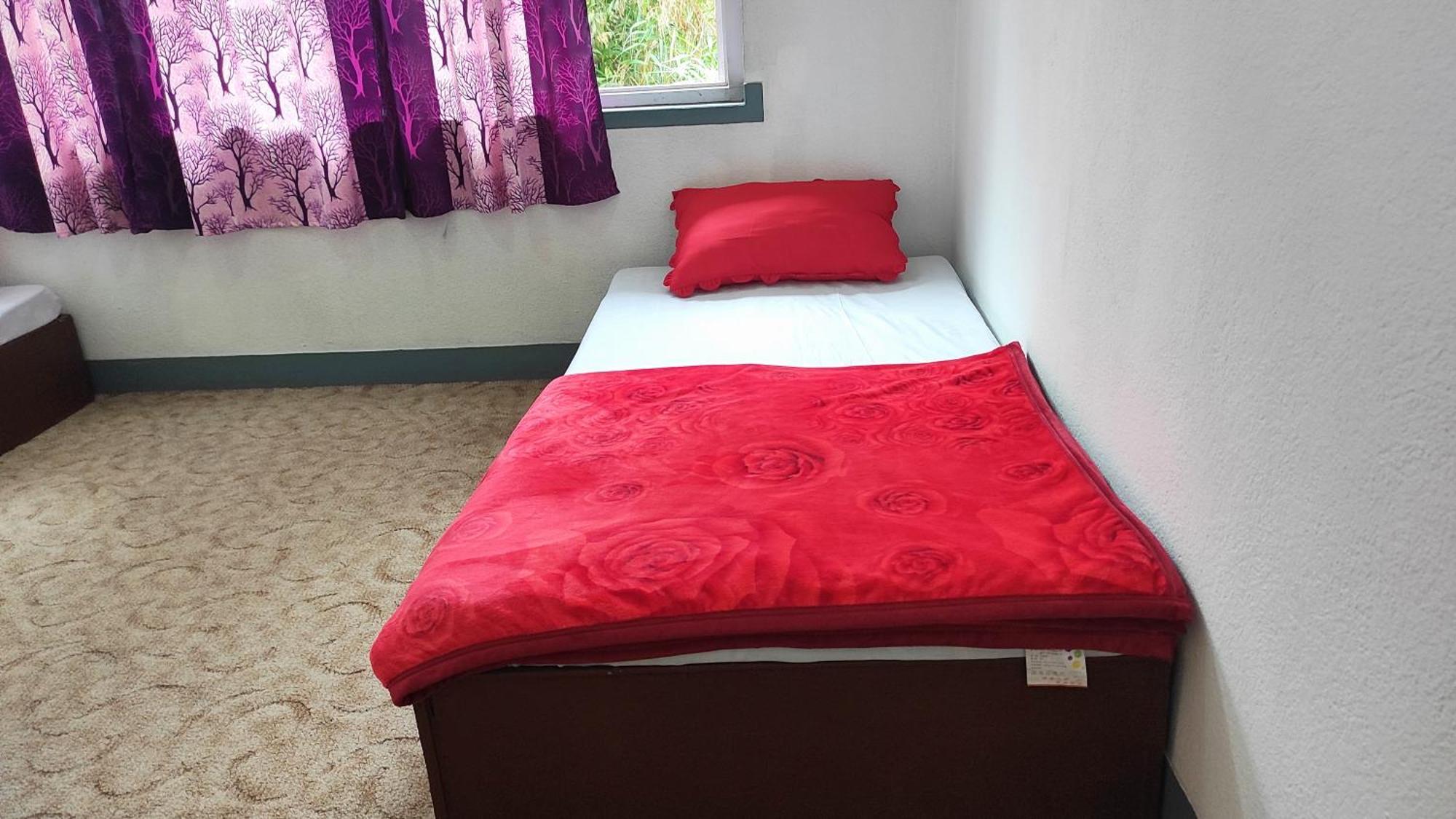 Budget Backpackers Hotel Lalitpur Екстер'єр фото