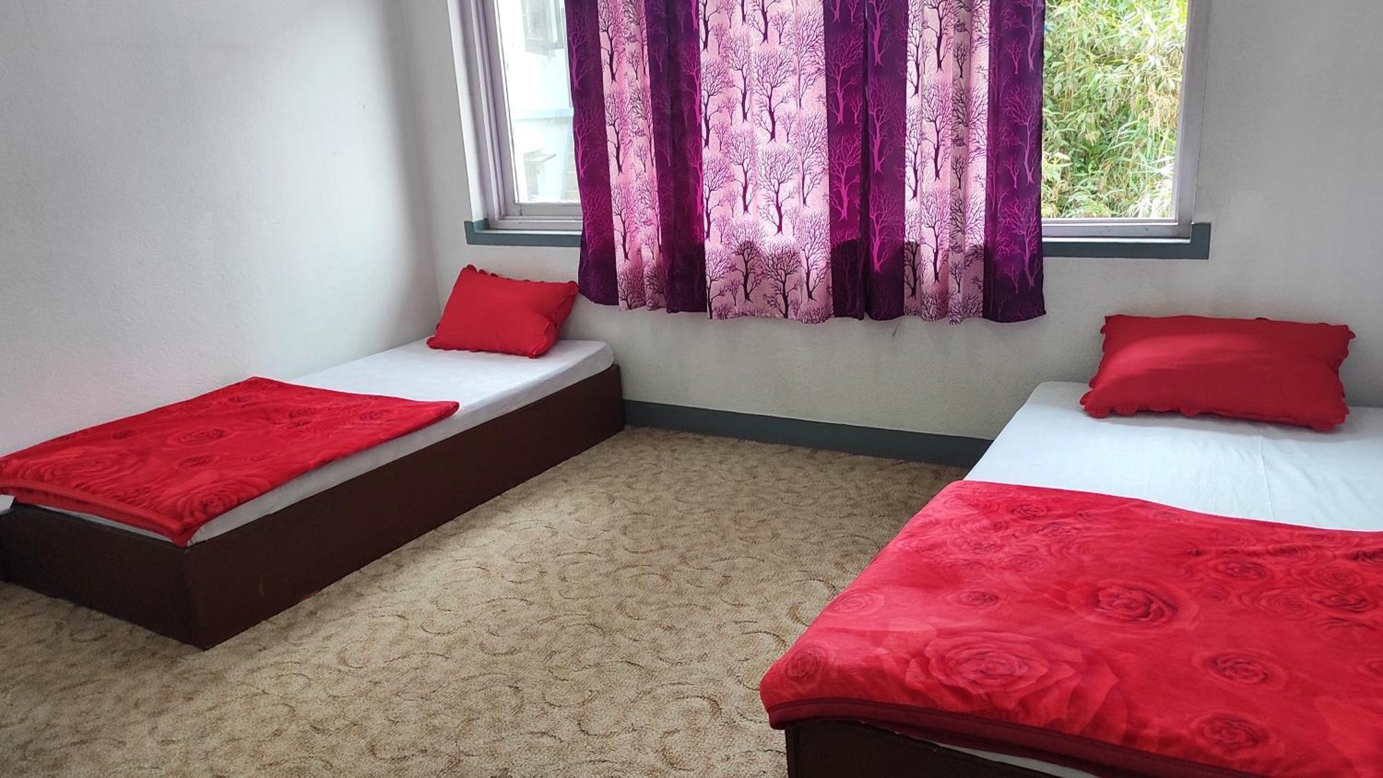 Budget Backpackers Hotel Lalitpur Екстер'єр фото